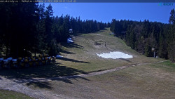 Slalomka