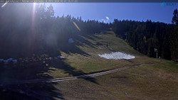 Slalomka