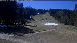 Slalomka