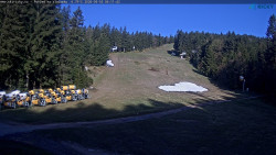 Slalomka