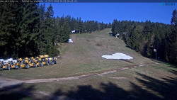 Slalomka
