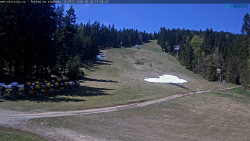 Slalomka