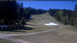 Slalomka