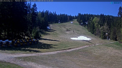 Slalomka