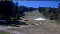 Slalomka