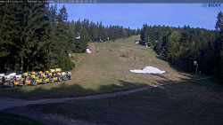 Slalomka