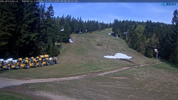 Slalomka