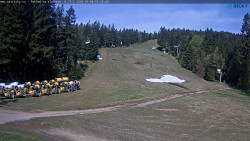 Slalomka