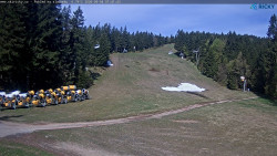 Slalomka