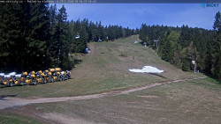 Slalomka