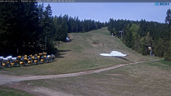 Slalomka