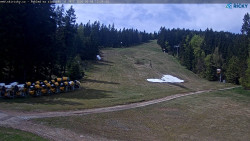 Slalomka