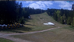 Slalomka