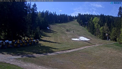 Slalomka