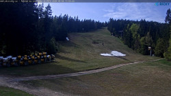 Slalomka