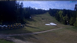 Slalomka
