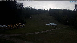 Slalomka