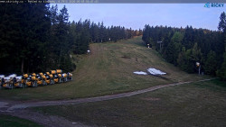 Slalomka