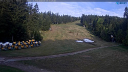 Slalomka