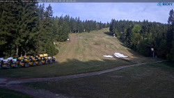 Slalomka