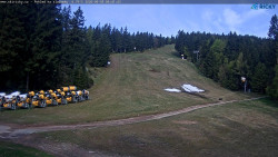 Slalomka