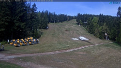 Slalomka
