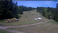 Slalomka