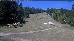 Slalomka