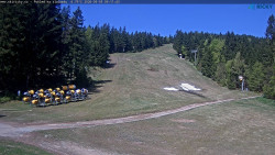 Slalomka