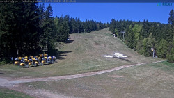 Slalomka