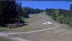 Slalomka