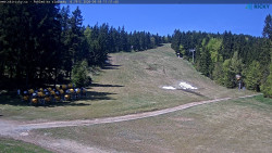 Slalomka