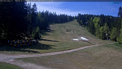 Slalomka