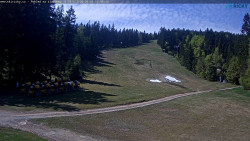Slalomka