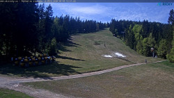 Slalomka