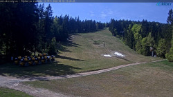 Slalomka