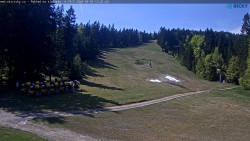 Slalomka
