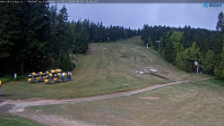 Slalomka