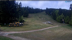 Slalomka