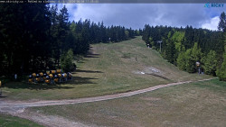 Slalomka