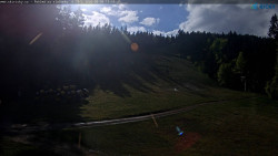 Slalomka