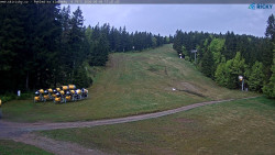 Slalomka