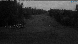 Slalomka