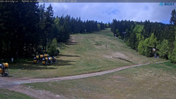 Slalomka