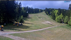 Slalomka