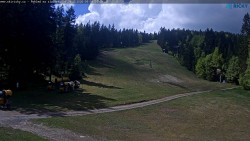 Slalomka