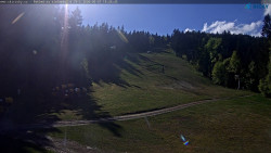 Slalomka