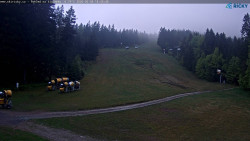 Slalomka