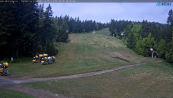 Slalomka