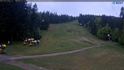 Slalomka